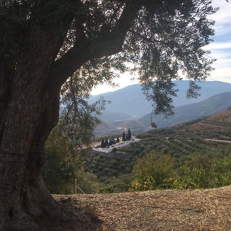 Jardin Andaluz Appart Alhambra Pinos del Valle Eksteriør billede