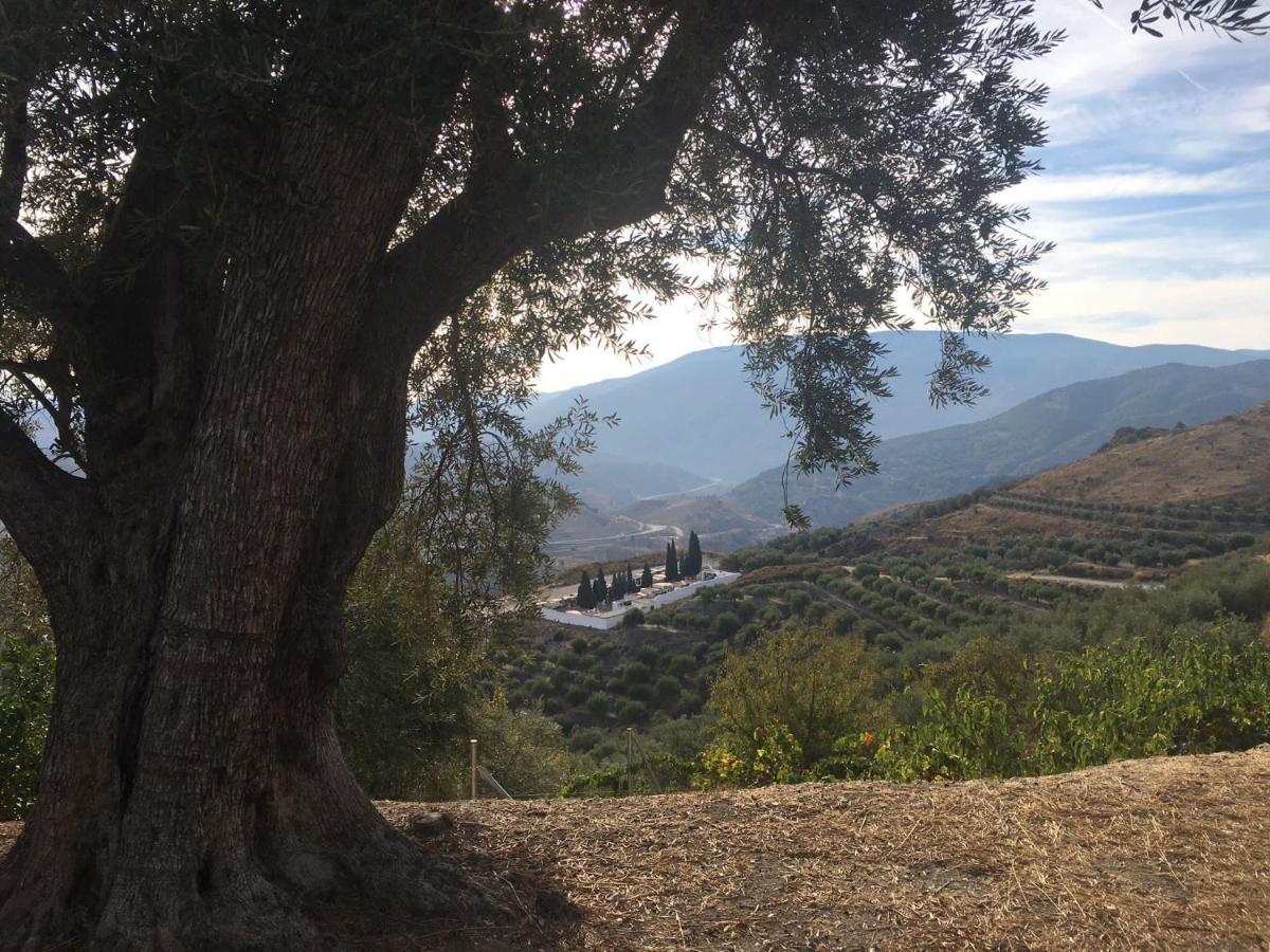 Jardin Andaluz Appart Alhambra Pinos del Valle Eksteriør billede