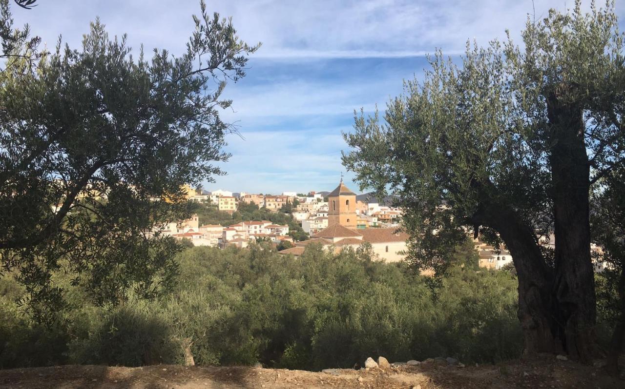 Jardin Andaluz Appart Alhambra Pinos del Valle Eksteriør billede